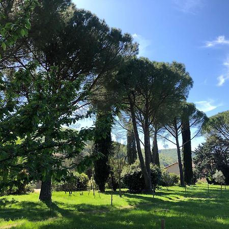 Gite Des Pins Saint-Maurice-dʼIbie Εξωτερικό φωτογραφία