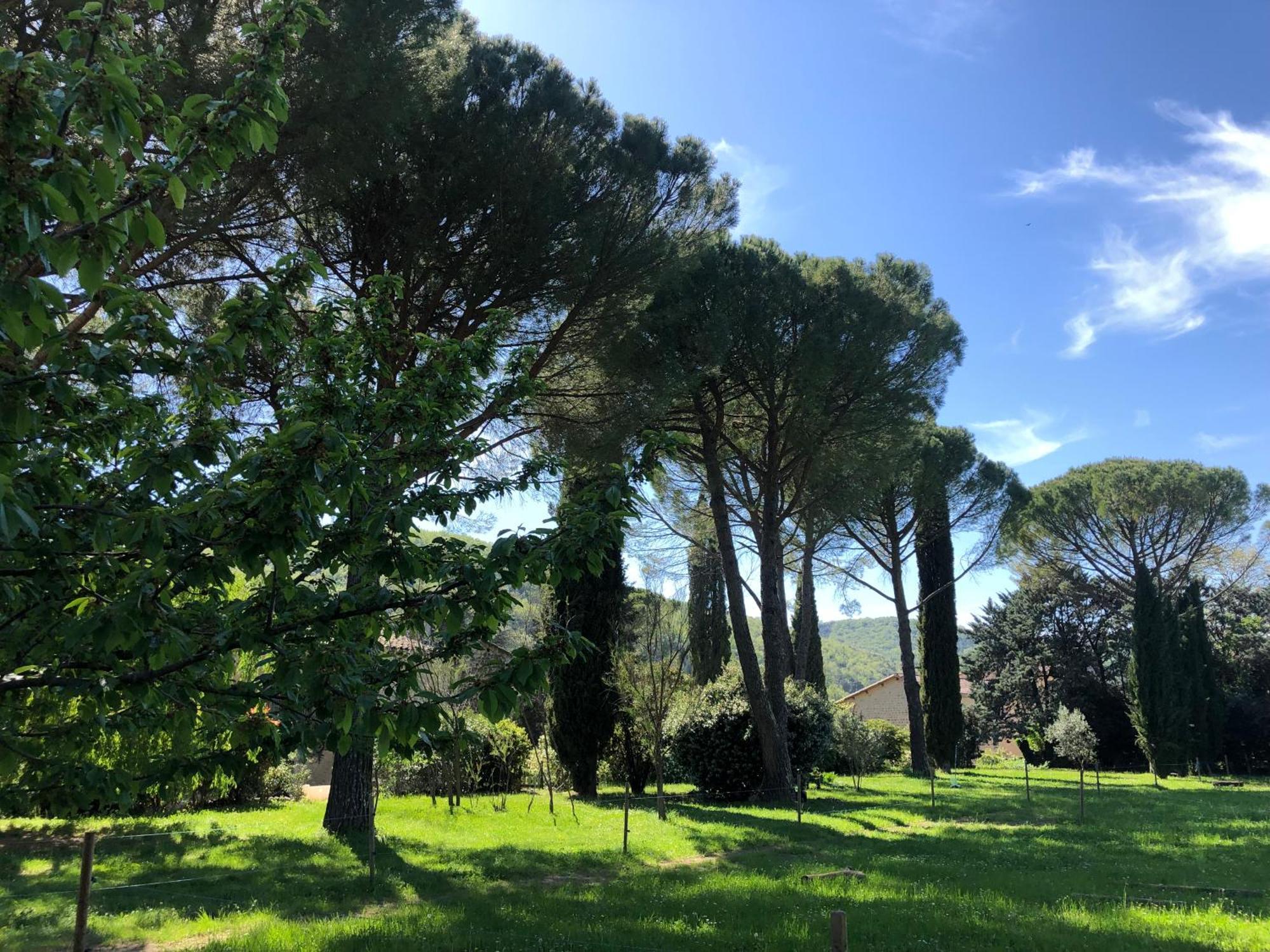 Gite Des Pins Saint-Maurice-dʼIbie Εξωτερικό φωτογραφία