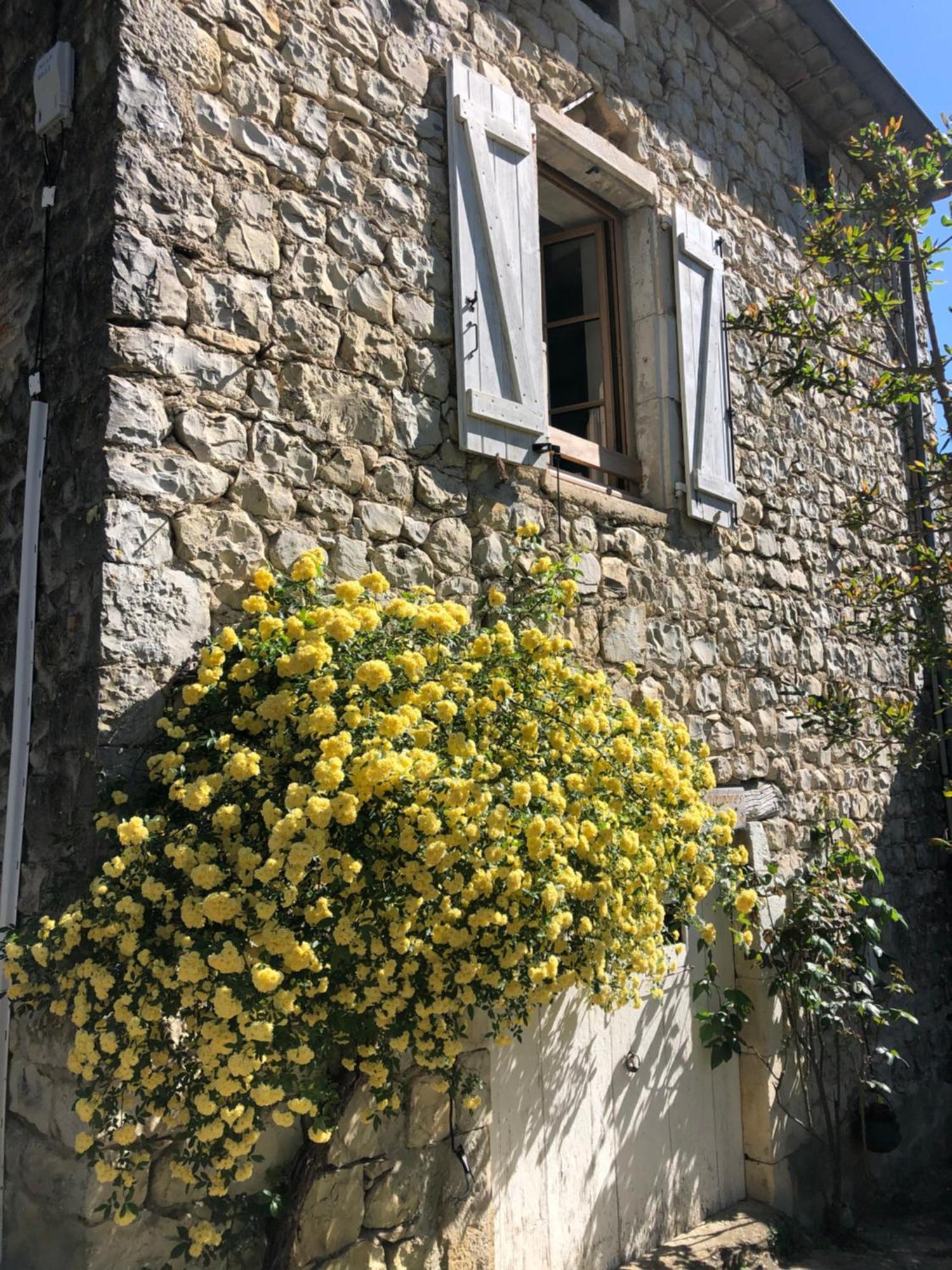 Gite Des Pins Saint-Maurice-dʼIbie Εξωτερικό φωτογραφία